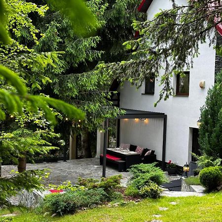 Mountain Chalet - Cabana La Muntele Baisorii Muntele Cacovei  Buitenkant foto