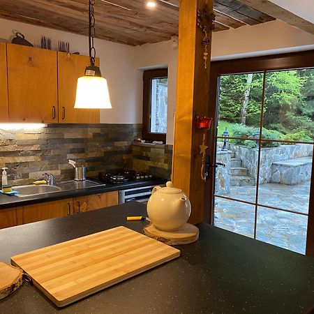 Mountain Chalet - Cabana La Muntele Baisorii Muntele Cacovei  Buitenkant foto