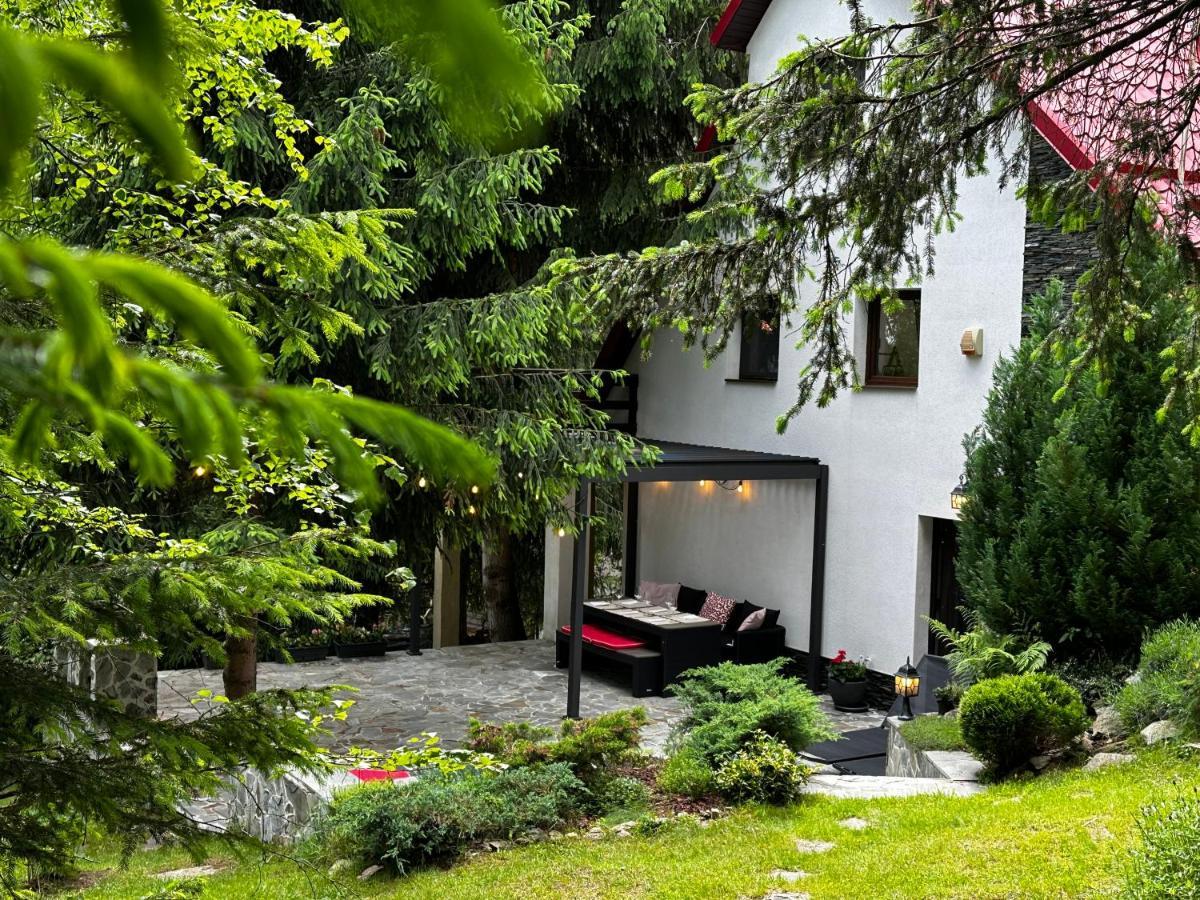 Mountain Chalet - Cabana La Muntele Baisorii Muntele Cacovei  Buitenkant foto