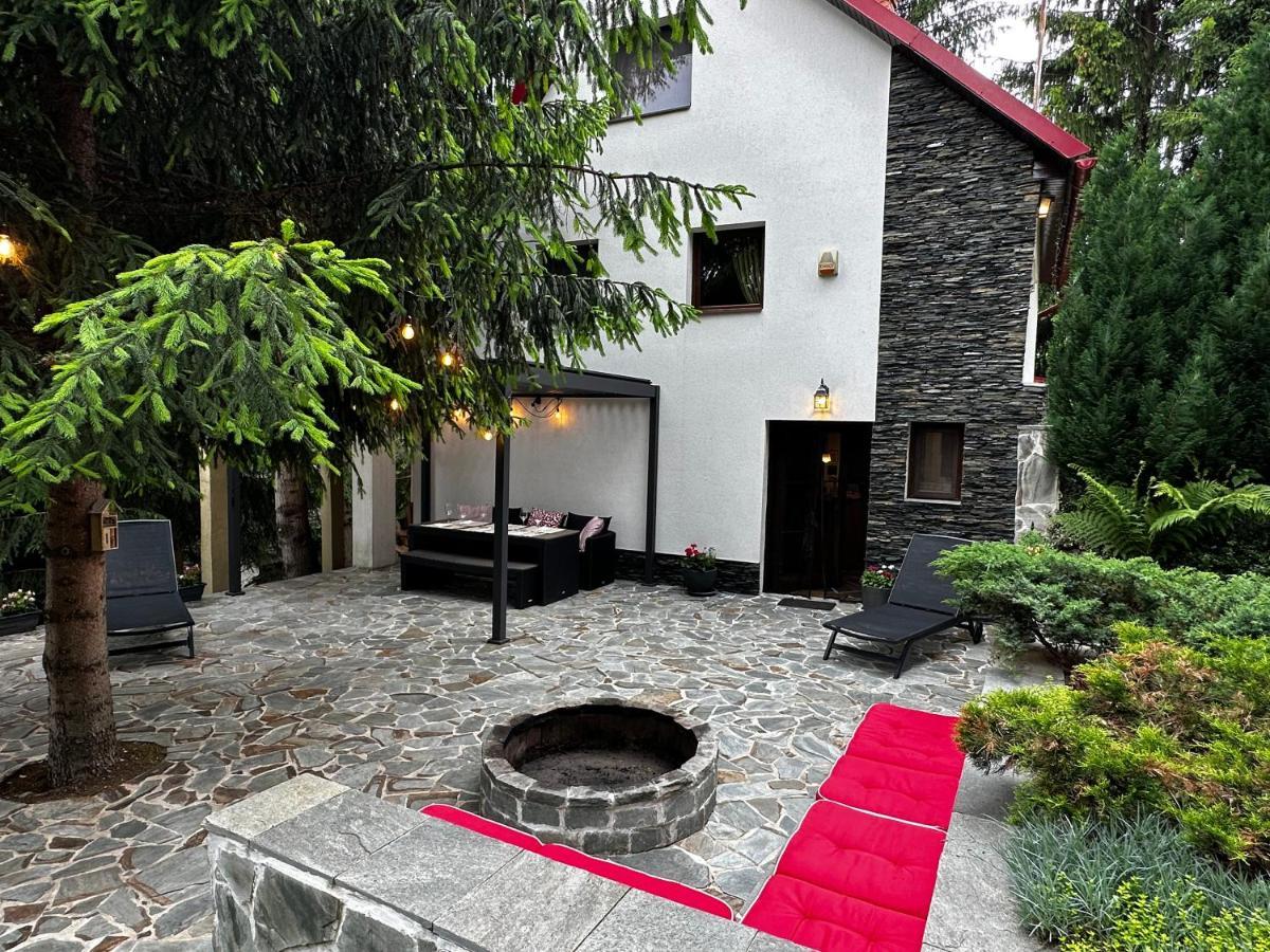 Mountain Chalet - Cabana La Muntele Baisorii Muntele Cacovei  Buitenkant foto