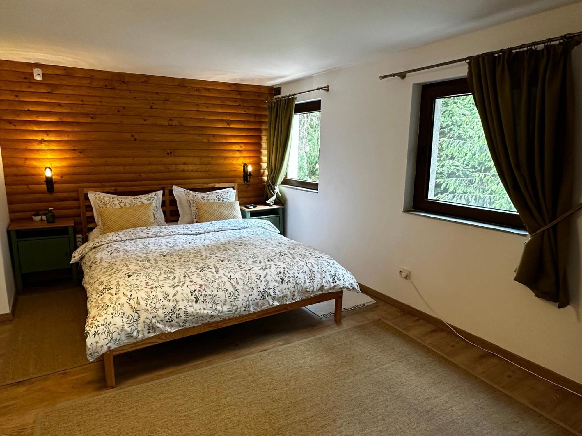 Mountain Chalet - Cabana La Muntele Baisorii Muntele Cacovei  Buitenkant foto