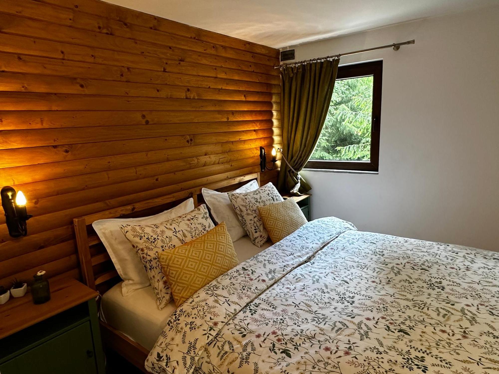 Mountain Chalet - Cabana La Muntele Baisorii Muntele Cacovei  Buitenkant foto