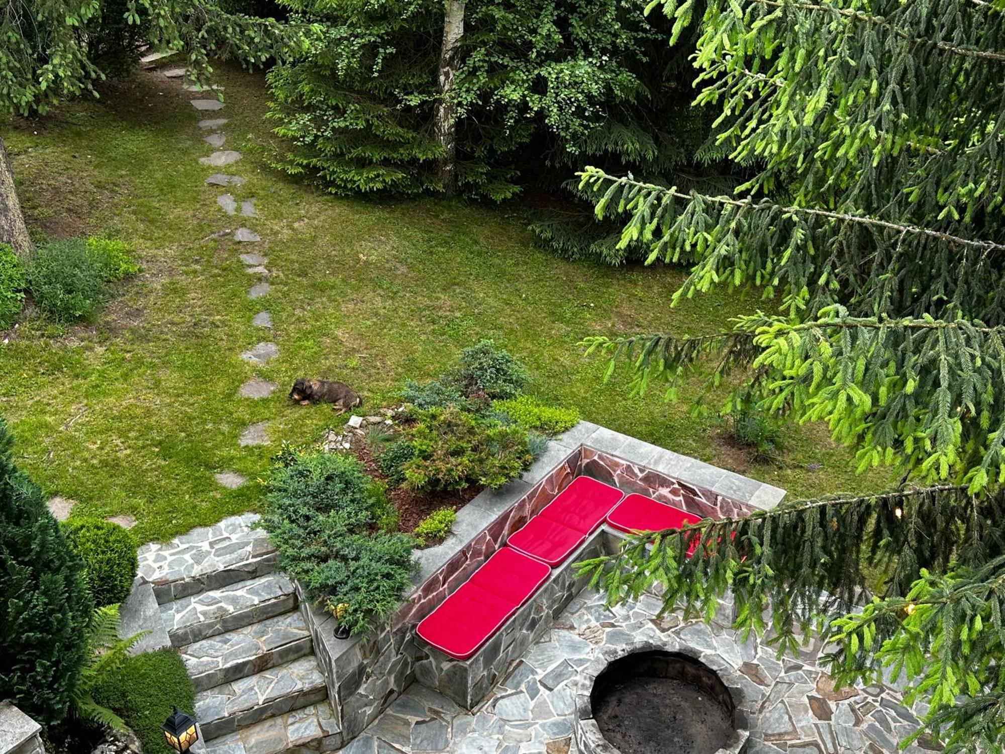 Mountain Chalet - Cabana La Muntele Baisorii Muntele Cacovei  Buitenkant foto